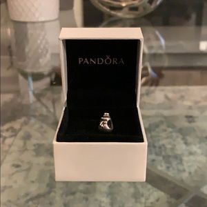 PANDORA charm ✨✨
